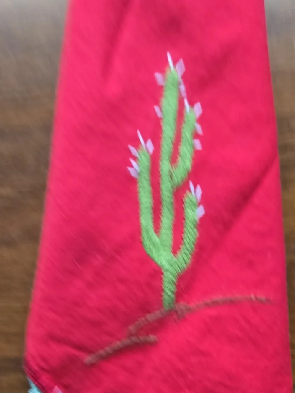 Hand-Embroidered Cactus Cocktail Napkins - Multicolor Set